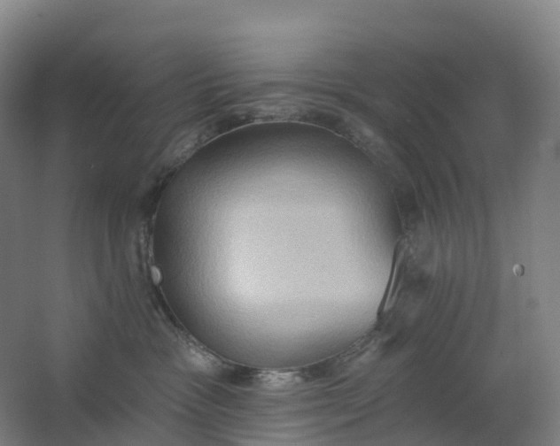 X0000062890333200601271654