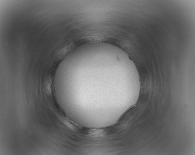 X0000062890334200601271654