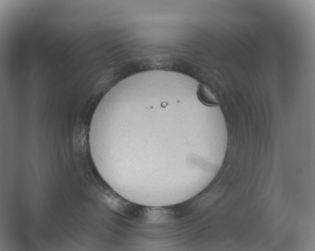 X0000062890336200601271654