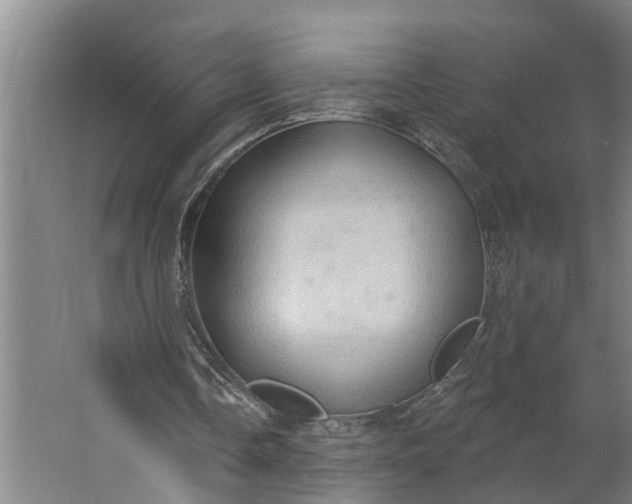 X0000062890338200601271653