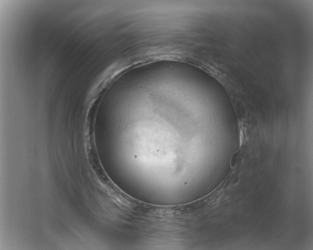 X0000062890339200601271653