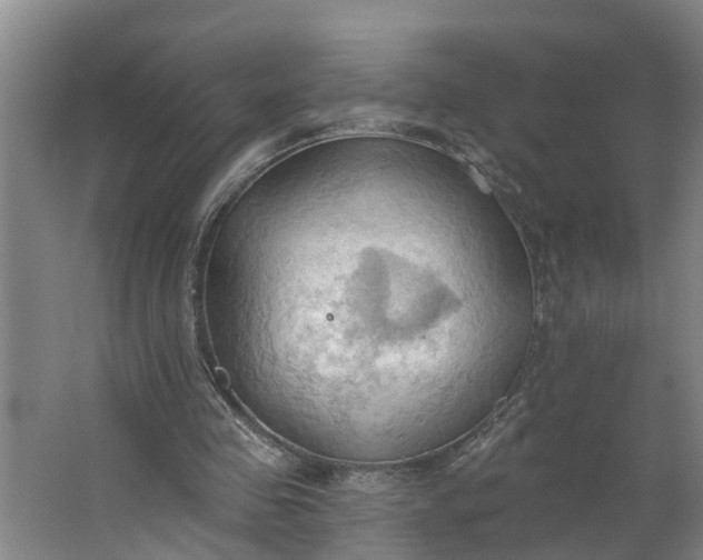 X0000062890341200601271653