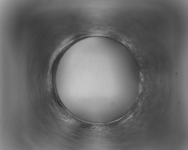 X0000062890343200601271653