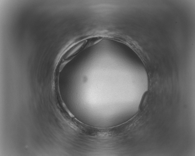 X0000062890344200601271653