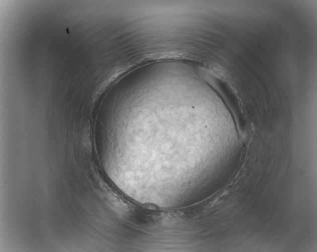 X0000062890345200601271653