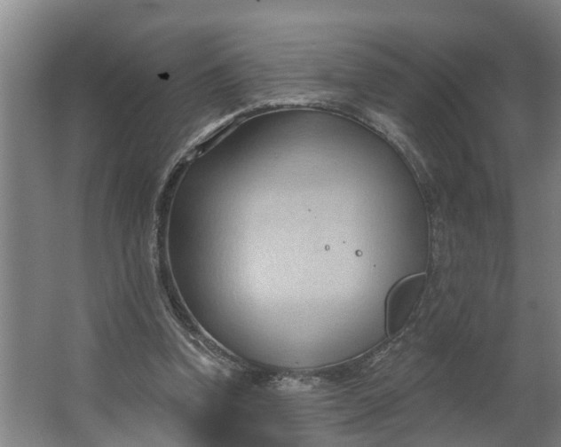 X0000062890346200601271653