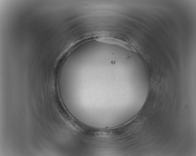 X0000062890347200601271653