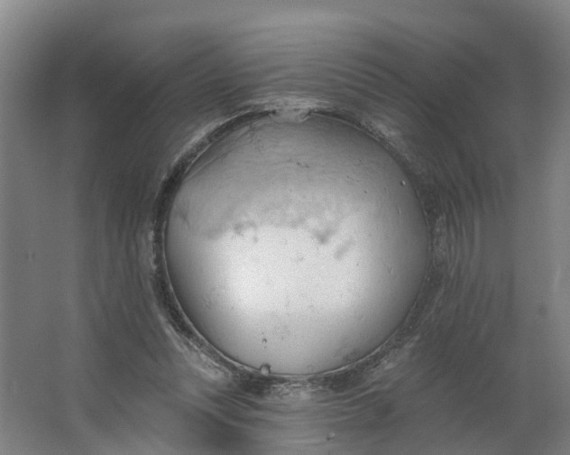 X0000062890351200601271653