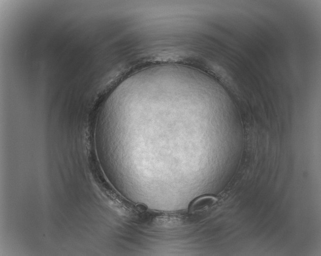 X0000062890354200601271653