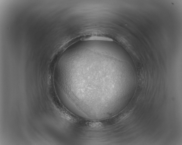 X0000062890355200601271653