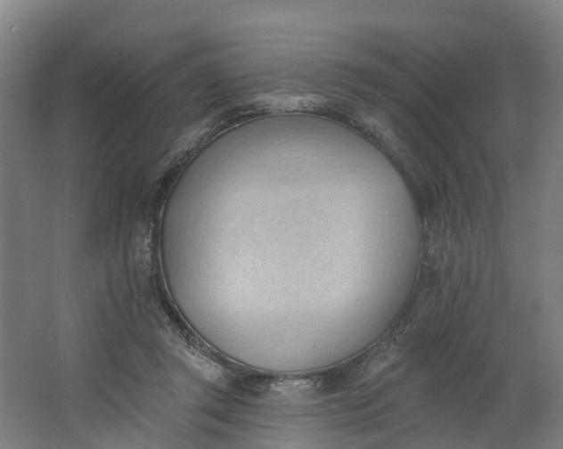 X0000062890357200601271653