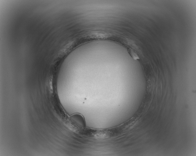 X0000062890358200601271653