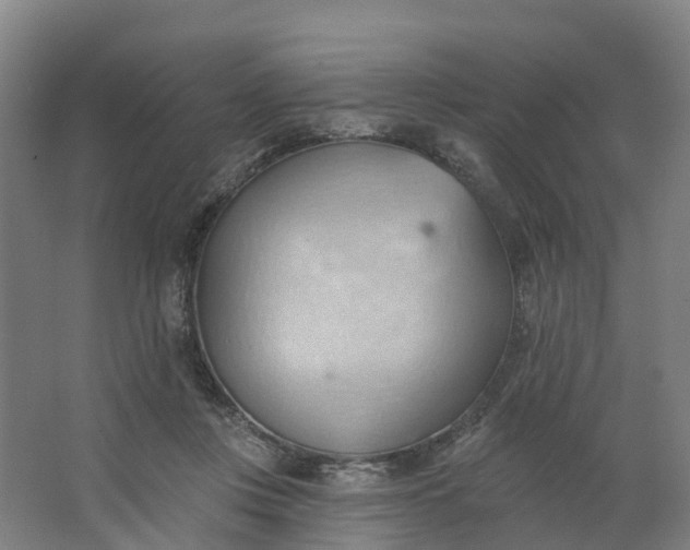 X0000062890359200601271653