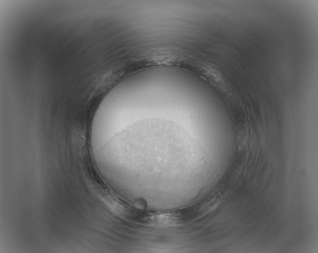 X0000062890365200601271654