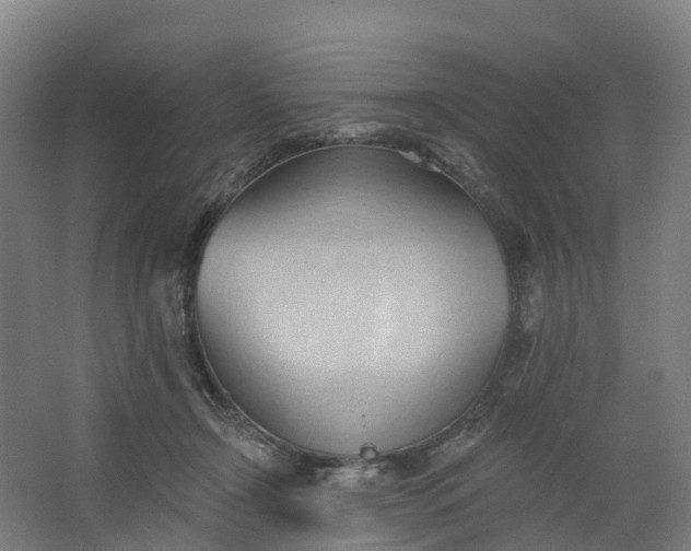 X0000062890366200601271654