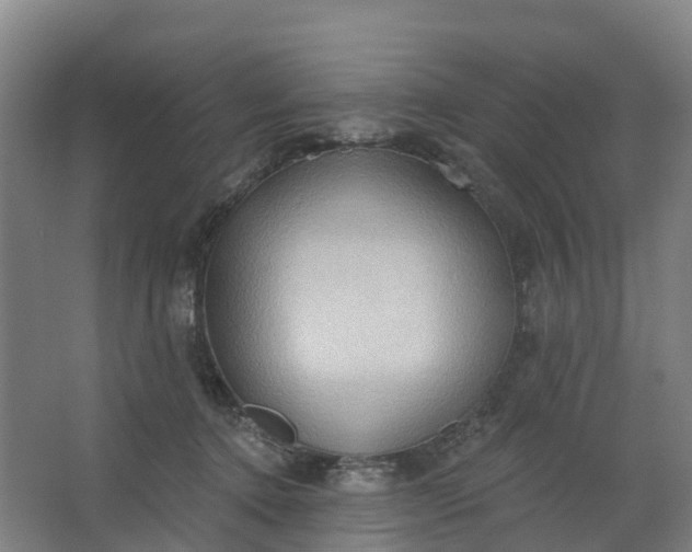 X0000062890368200601271654