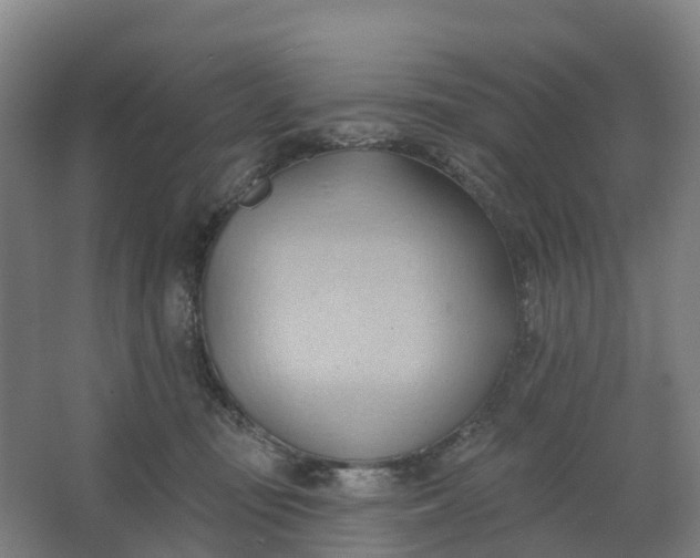 X0000062890371200601271654