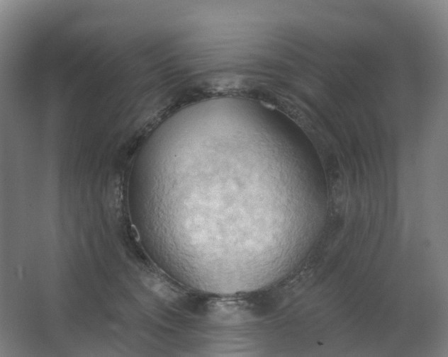 X0000062890372200601271654