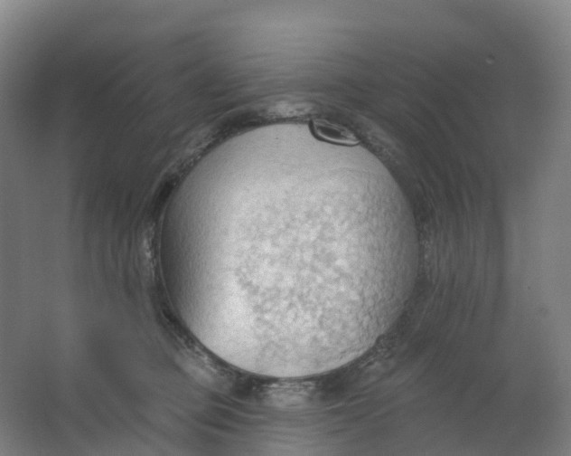 X0000062890373200601271654