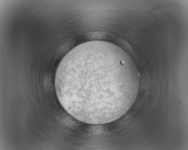 X0000062890377200601271654