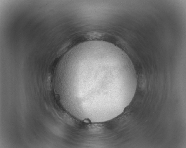 X0000062890378200601271654