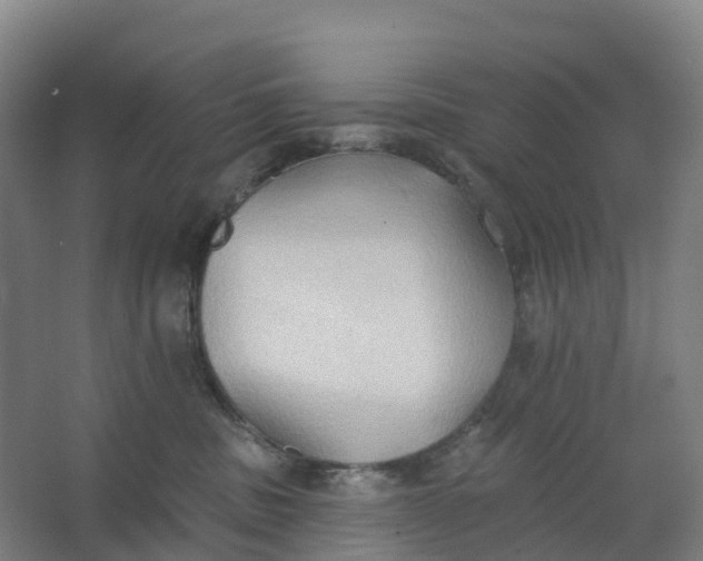 X0000062890379200601271654