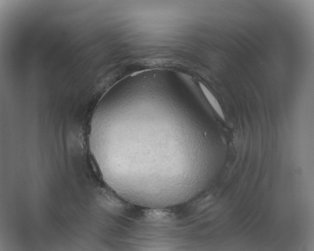 X0000062890380200601271654