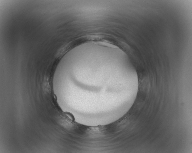 X0000062890381200601271654