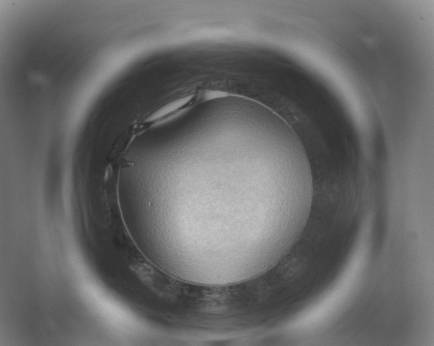 X0000062890382200601271654