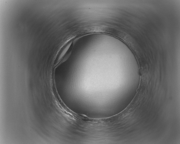 X0000062890386200601271653