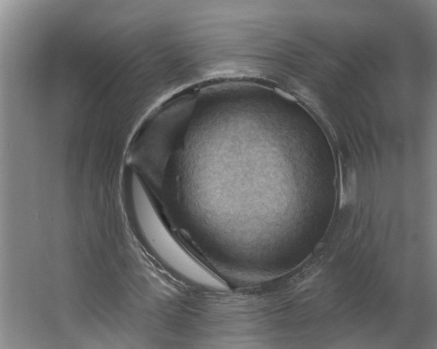 X0000062890387200601271653