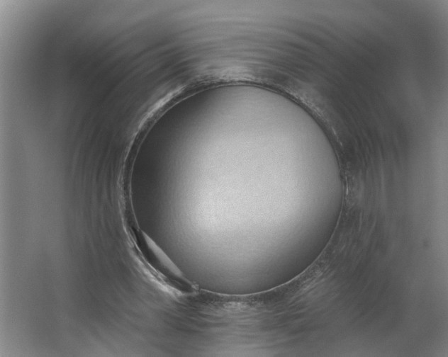 X0000062890390200601271653