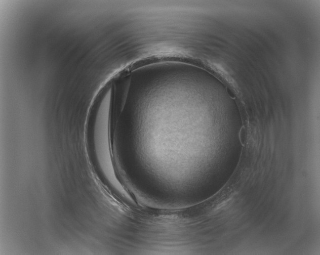 X0000062890391200601271653