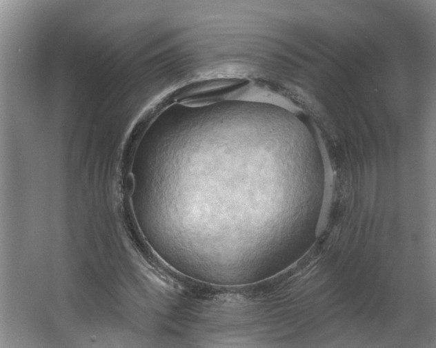 X0000062890392200601271653