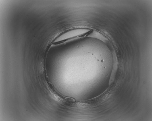 X0000062890393200601271653