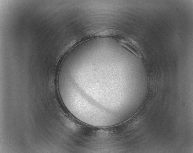 X0000062890394200601271653