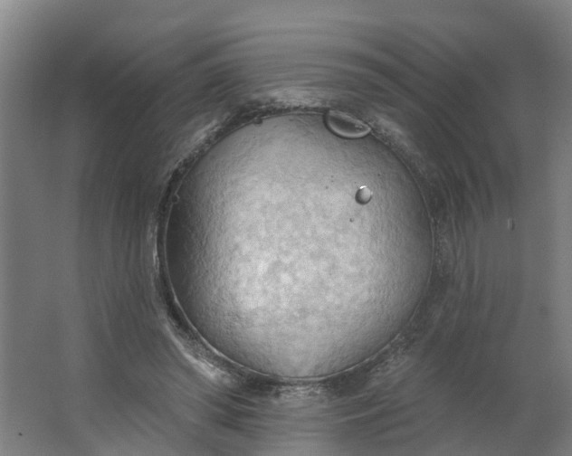 X0000062890398200601271653