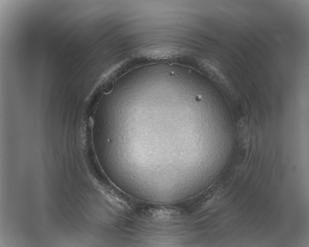 X0000062890400200601271653