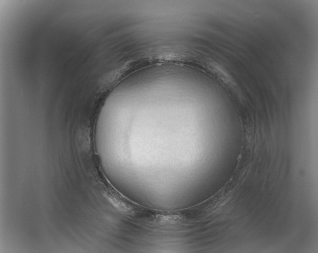 X0000062890401200601271653