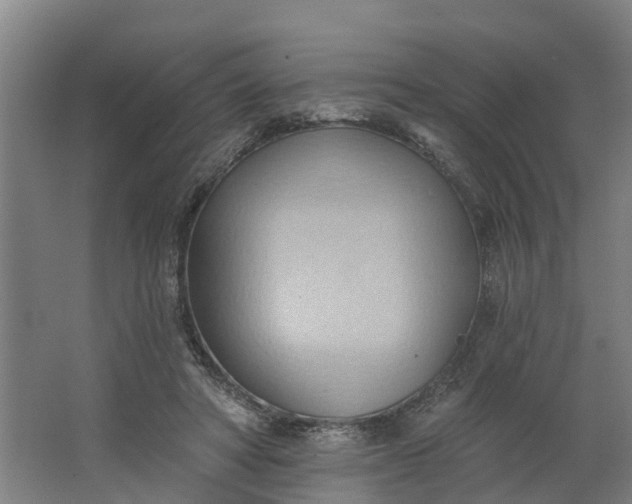 X0000062890402200601271653