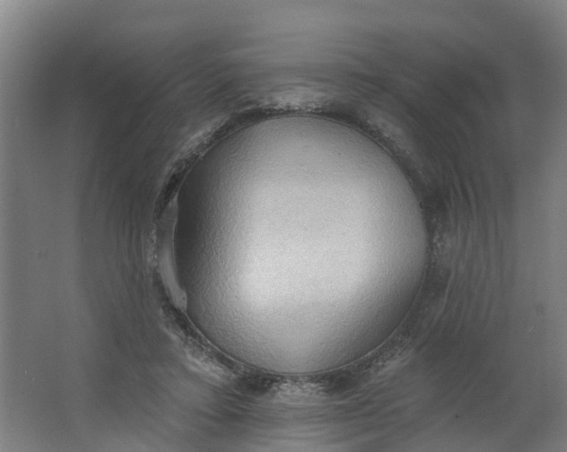 X0000062890403200601271653