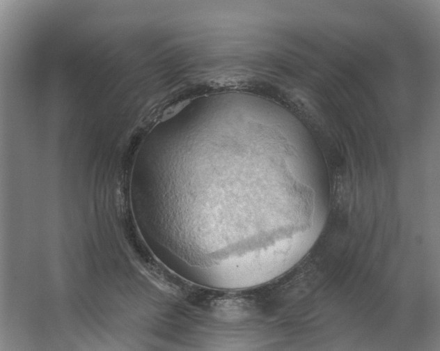 X0000062890408200601271653