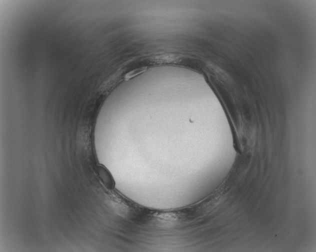 X0000062890409200601271653