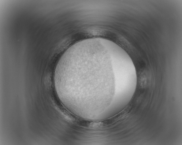 X0000062890410200601271653