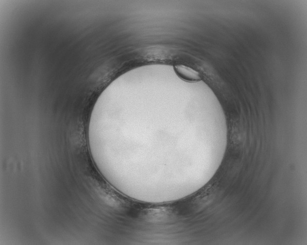 X0000062890411200601271653