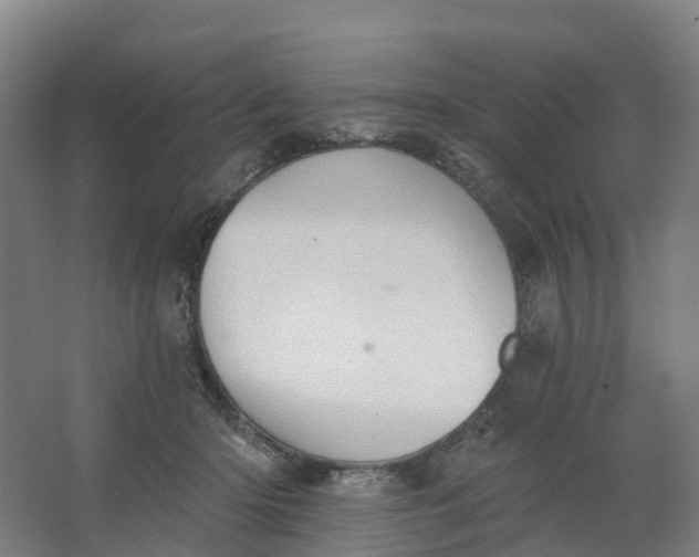 X0000062890414200601271653