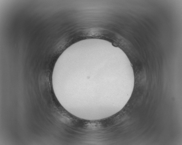 X0000062890415200601271653