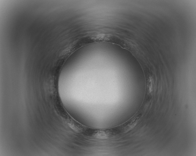 X0000062890416200601271653