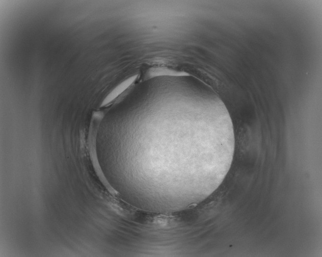 X0000062890420200601271652