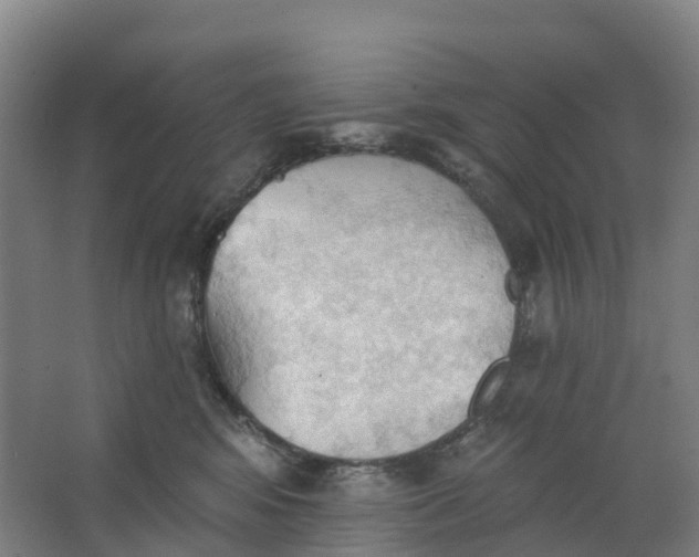 X0000062890424200601271652